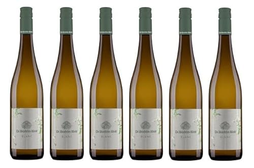 6x 0,75l - 2023er - Dr. Bürklin-Wolf - Blanc - Qualitätswein Pfalz - Deutschland - Weißwein trocken von Dr. Bürklin-Wolf