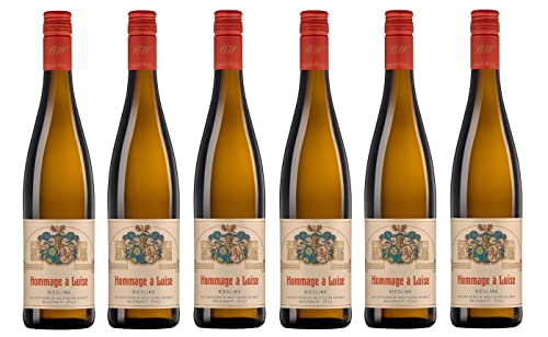 6x 0,75l - 2023er - Dr. Bürklin-Wolf - Hommage à Luise - Riesling - Qualitätswein Pfalz - Deutschland - Weißwein lieblich von Dr. Bürklin-Wolf