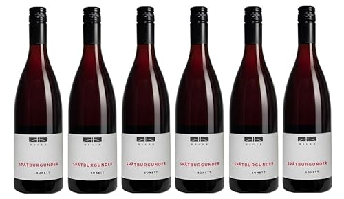 6x 0,75l - 2019er - Dr. Heger - Sonett - Spätburgunder - Qualitätswein Baden - Deutschland - Rotwein trocken von Dr. Heger