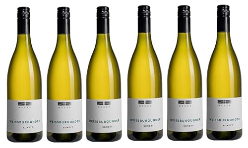 6x 0,75l - 2023er - Dr. Heger - Sonett - Weißburgunder - Qualitätswein Baden - Deutschland - Weißwein trocken von Dr. Heger