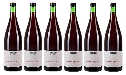 6x 1,0l - 2019er - Dr. Heger - Spätburgunder - LITER - Qualitätswein Baden - Deutschland - Rotwein trocken von Dr. Heger