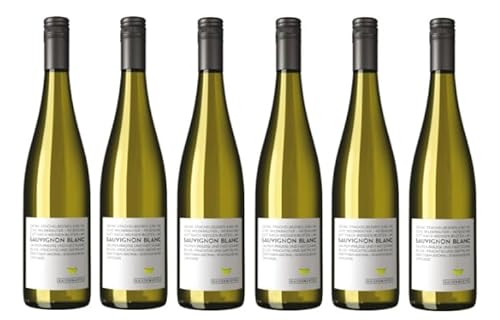 6x 0,75l - 2023er - Dr. Koehler - Kaisermantel - Sauvignon Blanc - Qualitätswein Rheinhessen - Deutschland - Weißwein trocken von Dr. Koehler