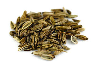 Fenchel bitter Kamm, ganz 500g von Dragonspice Naturwaren, ganz 500g von Dragonspice Naturwaren