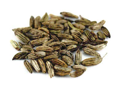 Fenchel braun bitter BIO ganz, 100g von Dragonspice Naturwaren, 100g von Dragonspice Naturwaren