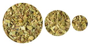 Sauerampferkraut Wildsammlung, geschnitten 100g von Dragonspice Naturwaren, geschnitten 100g von Dragonspice Naturwaren