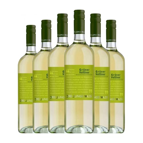 Drei Junge Wilde Grüner Veltliner Niederösterreich 75 cl Weißwein (Karton mit 6 Flaschen von 75 cl) von Drei Junge Wilde