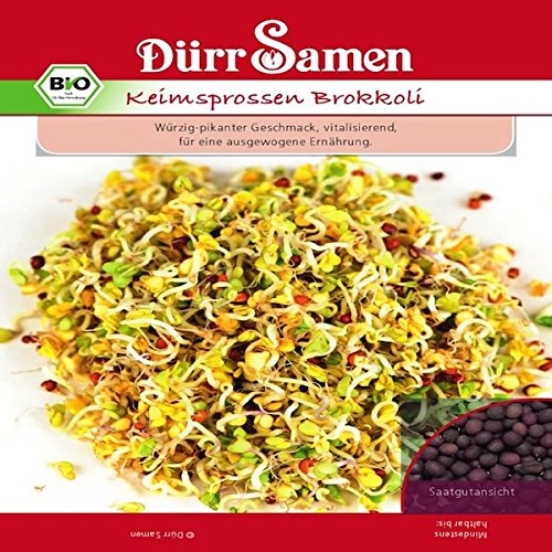 BIO Keimsprossen Brokkoli - Inhalt: 25 g von Dürr-Samen