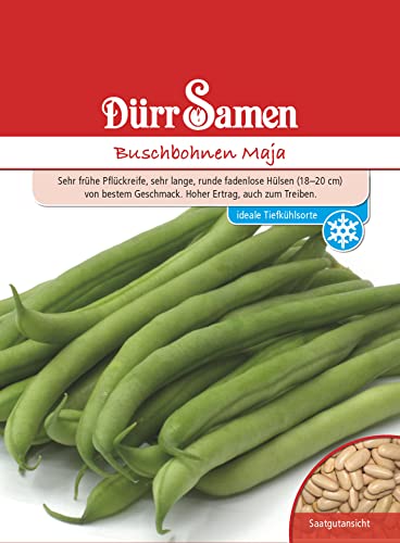 Buschbohnen Samen Maja Bohnensamen Grüne Bohnen ca 120 Korn Saatgut Gemüse Garten Hochbeet Kübel Dürr Samen von Dürr-Samen