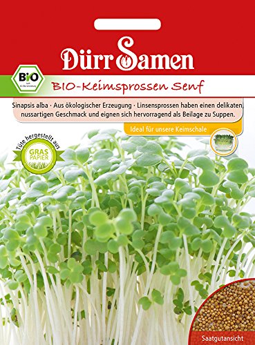 Dürr Samen 4408 Keimsprossen Senf (Bio-Keimsprossen) von Dürr-Samen