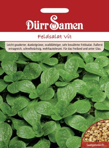 Feldsalat Vit von Dürr-Samen