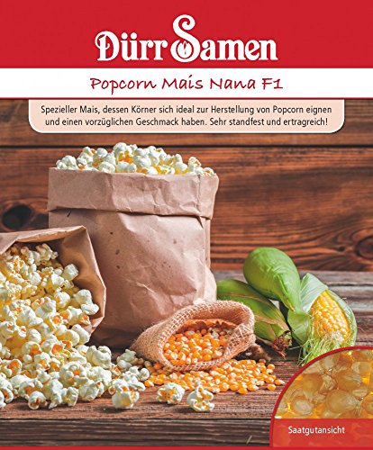 Popcorn Mais, Nana, Zea mays, ca. 25 Samen von Dürr-Samen