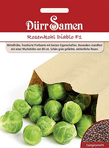 Rosenkohl Diablo F1 von Dürr-Samen