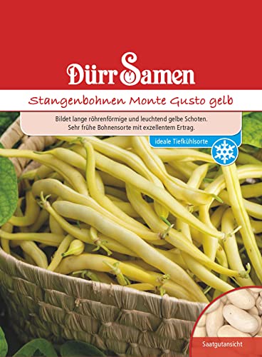 Stangenbohnen Samen Monte Gusto gelbe Bohnen Bohnensamen Fadenlos Hoher Ertrag ca 80 Korn Saatgut Gemüse Garten Hochbeet Kübel Dürr Samen von Dürr-Samen