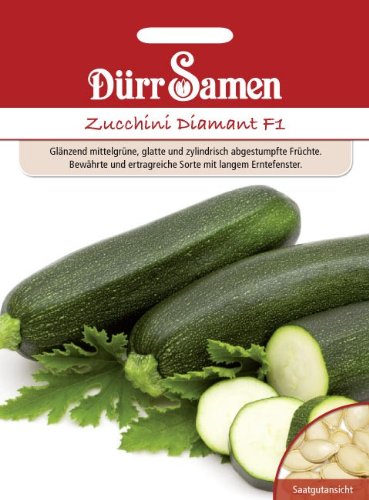 Zucchini Diamant F1 von Dürr-Samen