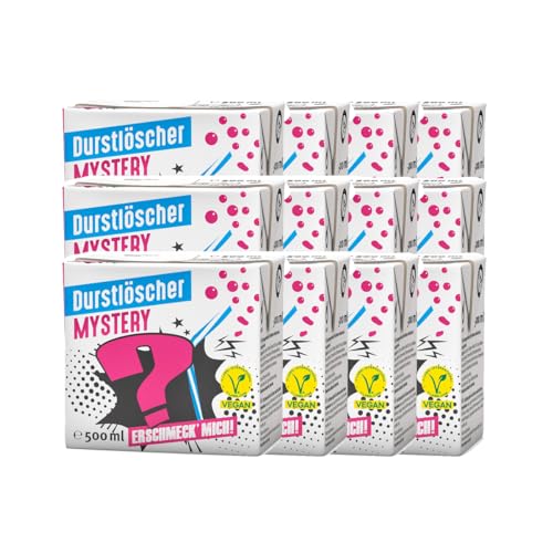 Durstlöscher Mystery mysteriöse Geschmackskreation 500ml 12er Pack von Durstlöscher