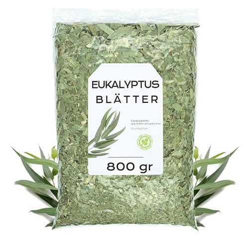 Eukalyptus Infusion 800g - Eukalyptusblätter - Natürliche Eukalyptusblätter - Infusionen in Bulk - Reich an Mineralien und Nährstoffen - Natürliche Eigenschaften (800 gr) von EPEL