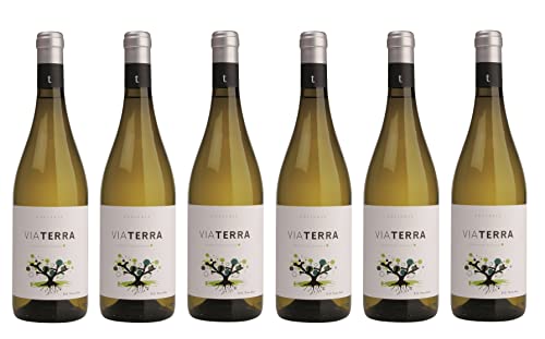 6x 0,75l - 2023er - Edetària - Via Terra - Blanco - Terra Alta D.O.P. - Spanien - Weißwein trocken von Edetària