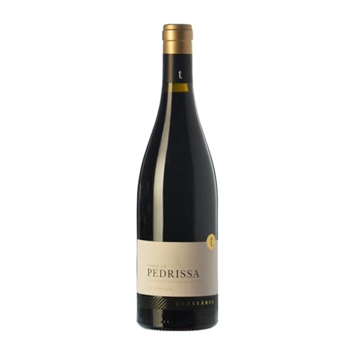 Edetària Finca La Pedrissa Carignan Terra Alta Alterung 75 cl Rotwein von Edetària