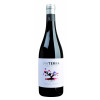 WirWinzer Select Augsburg 2021 Via Terra Selection Terra Alta DO trocken von Edetaria