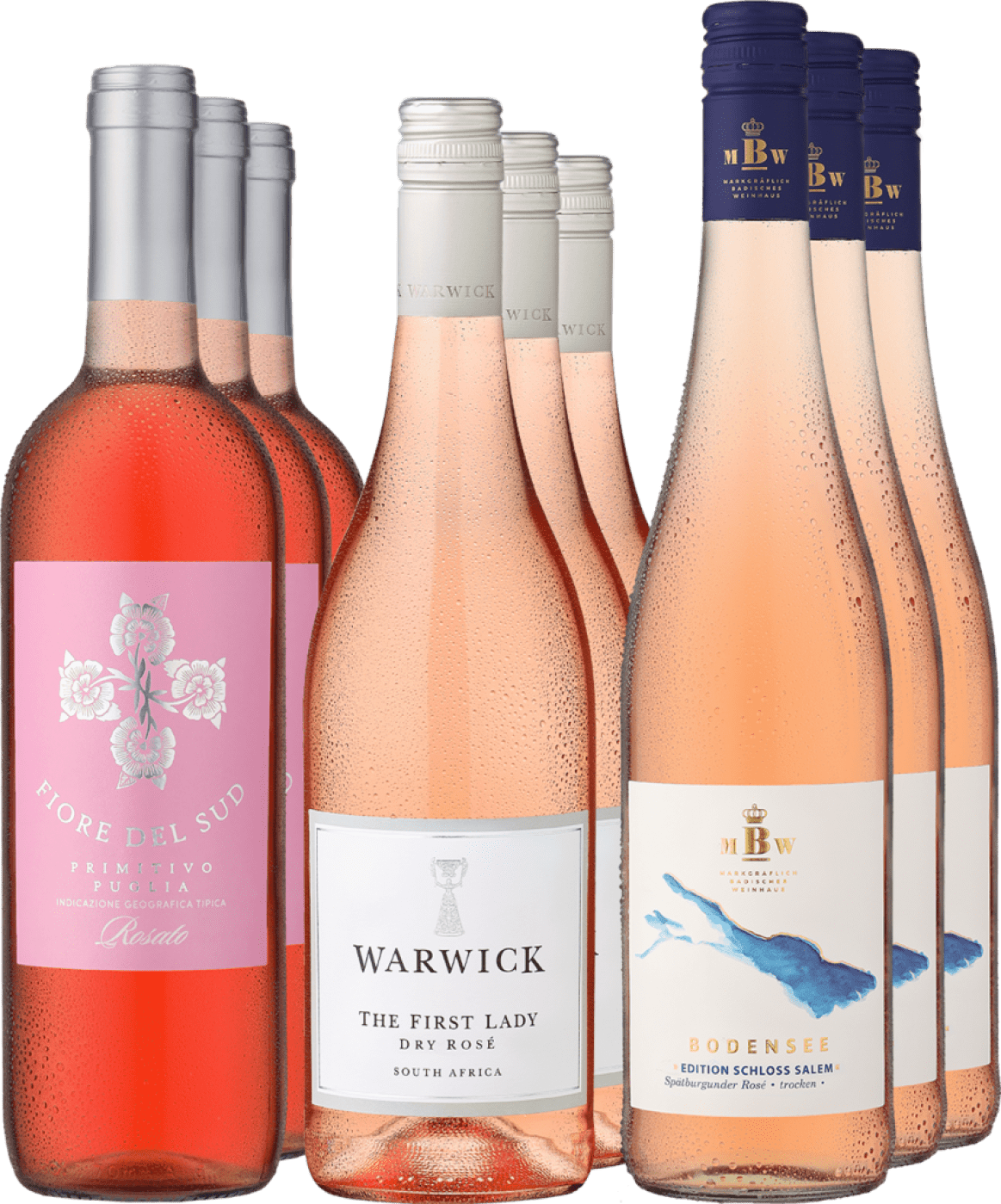 9er-Probierpaket »Roségenuss für den Sommer« von Eggers und Franke GmbH