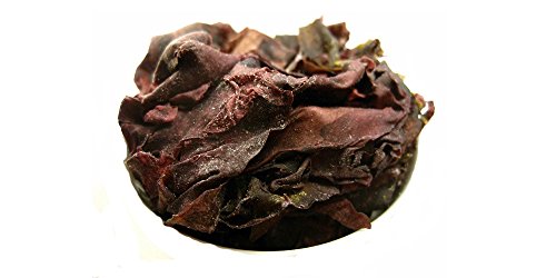 Lappentang (Dulse) aus irischer Wildernte - erntefrisch, weich & aromatisch (250g) von Eichenhain.com