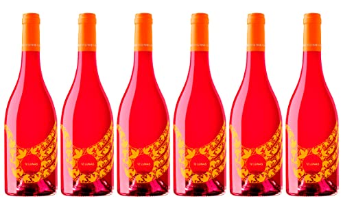 El Grillo 12 Lunas Rosado Syrah trocken (6 x 0.75 l) von El Grillo y La Luna