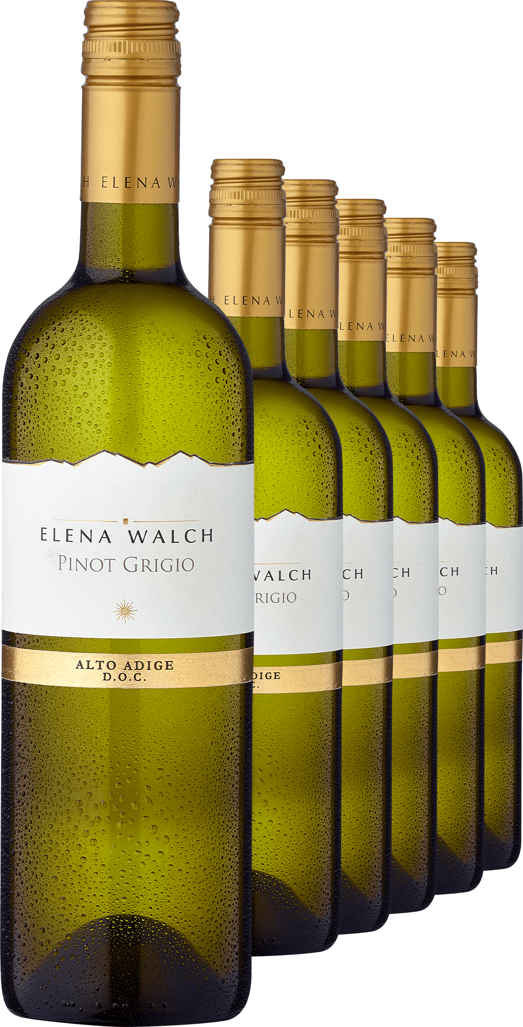 2022 Elena Walch Pinot Grigio im 6er-Vorratspaket von Elena Walch