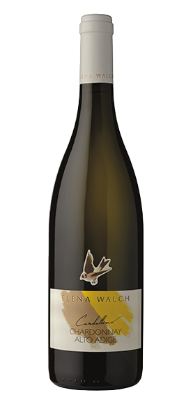 Chardonnay "Cardellino" Alto Adige DOC 2023 von Elena Walch