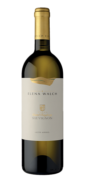 Sauvignon Vigna 'Castel Ringberg' Alto Adige DOC 2022 von Elena Walch