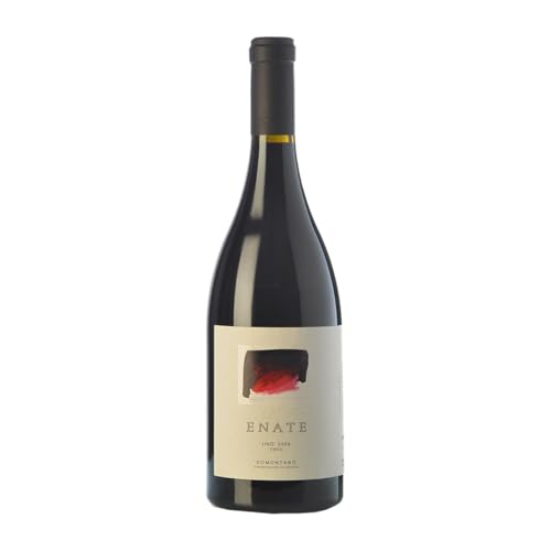 Enate Uno Tinto Somontano Alterung 75 cl Rotwein von Enate