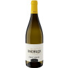 Endrizzi 2024 Pinot Grigio Trentino DOC trocken von Endrizzi