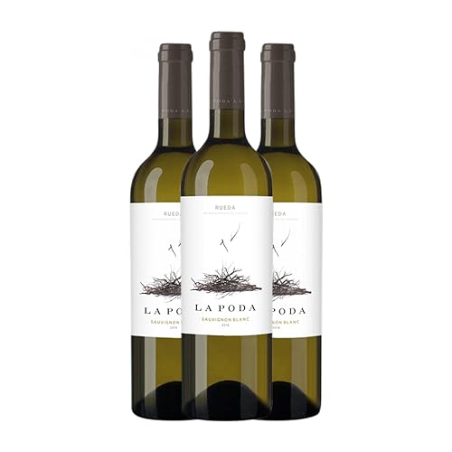 Entrecanales La Poda Sauvignon Weiß Rueda Magnum-Flasche 1,5 L (Schachtel mit 3 Magnum-Flasche von 1,5 L) von Entrecanales Domecq e Hijos