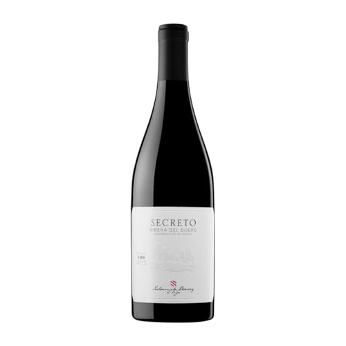 Entrecanales Tempranillo Ribera del Duero Magnum-Flasche 1,5 L Rotwein von Entrecanales Domecq e Hijos