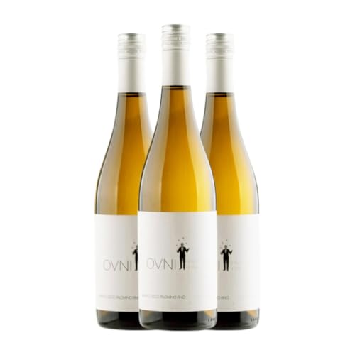 Equipo Navazos Ovni Palomino Fino 75 cl Weißwein (Karton mit 3 Flaschen von 75 cl) von Equipo Navazos