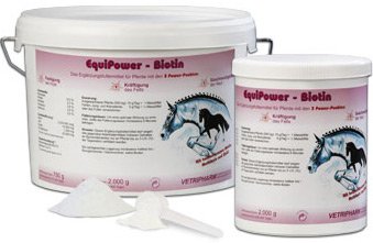 EQUIPOWER Biotin 2 kg von Equipower