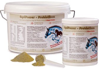 EquiPower Probiotikum 750g von Equipower