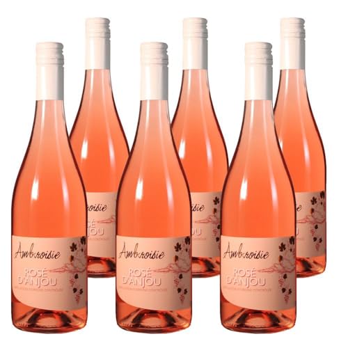 Vorteilspaket Caves de la Loire Rosé d'Anjou (halbtrocken) L´ Ambroisie AOC (6 x 0.75 Liter) von ErnenWein