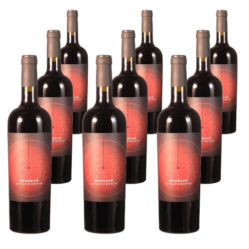 Vorteilspaket La Grange Rondeur Appassimento IGP (9 x 0.75 Liter)/ErnenWein/Wine von ErnenWein