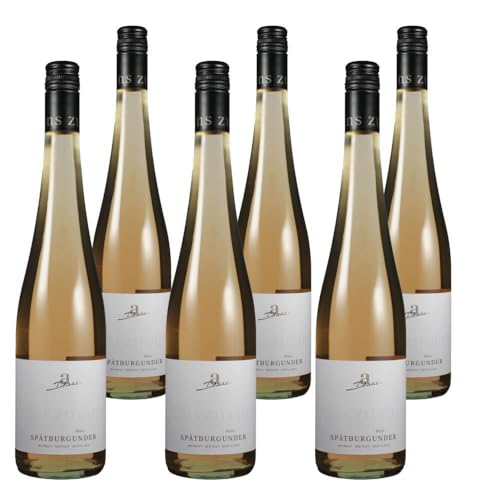 Vorteilspaket Weingut Diehl Spätburgunder Rosé trocken (026) Pfalz Dt. Qualitätswein (6 x 0.75 Liter) von ErnenWein