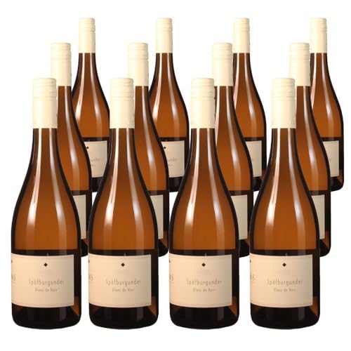 Vorteilspaket Weingut Willems Spätburgunder Blanc de Noir Q.b.A. (12 x 0.75 Liter)/ErnenWein/Wine von ErnenWein