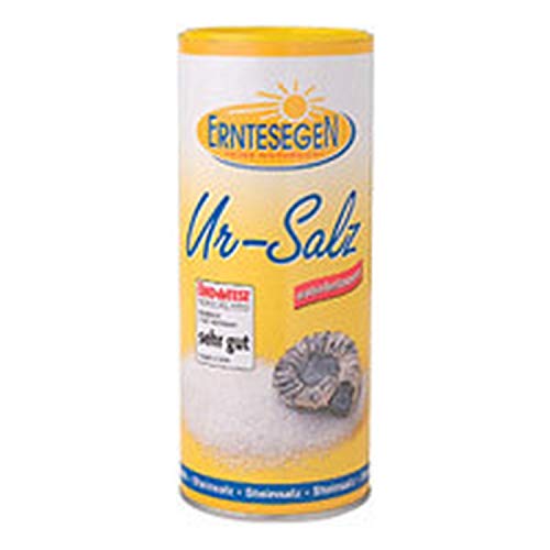 Erntesegen Ur-Salz (konv. Anbau), Streudose, 400 g von Erntesegen