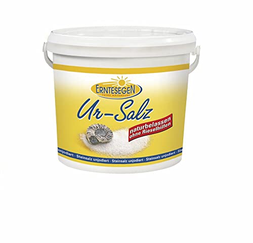 Erntesegen Ur-Salz naturbelassen (2 x 12 kg) von Erntesegen