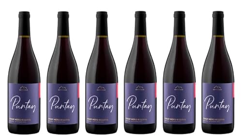 6x 0,75l - 2021er - Erste + Neue - Pinot Nero Riserva - Alto Adige D.O.P. - Südtirol - Italien - Rotwein trocken von Erste + Neue