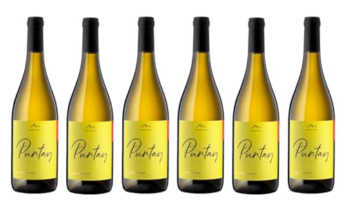 6x 0,75l - 2021er - Erste + Neue - Puntay - Chardonnay - Alto Adige D.O.P. - Südtirol - Italien - Weißwein trocken von Erste + Neue