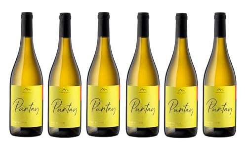 6x 0,75l - 2021er - Erste + Neue - Puntay - Pinot Bianco - Alto Adige D.O.P. - Südtirol - Italien - Weißwein trocken von Erste + Neue