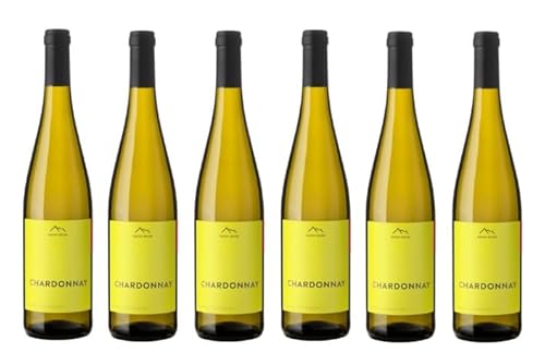 6x 0,75l - 2023er - Erste + Neue - Chardonnay - Alto Adige D.O.P. - Südtirol - Italien - Weißwein trocken von Erste + Neue