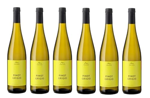 6x 0,75l - 2023er - Erste + Neue - Pinot Grigio - Alto Adige D.O.P. - Südtirol - Italien - Weißwein trocken von Erste + Neue