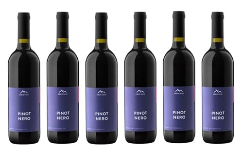 6x 0,75l - 2023er - Erste + Neue - Pinot Nero - Alto Adige D.O.P. - Südtirol - Italien - Rotwein trocken von Erste + Neue