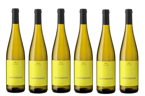 6x 0,75l - 2023er - Erste + Neue - Sauvignon Blanc - Alto Adige D.O.P. - Südtirol - Italien - Weißwein trocken von Erste + Neue