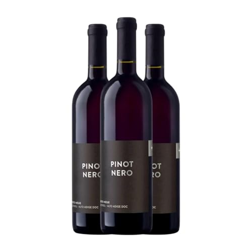 Erste Neue Spätburgunder Alto Adige 75 cl Rotwein (Karton mit 3 Flaschen von 75 cl) von Erste Neue